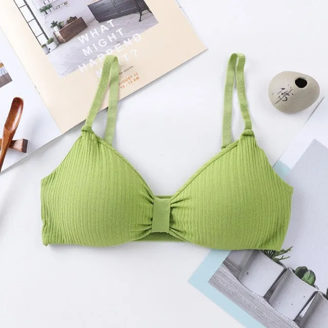 Sexy Bra Push Up Bras For Women Wireless Bralette Sexy Lingerie Seamless Women Underwear Soft Bra Comfort Cotton Brassiere