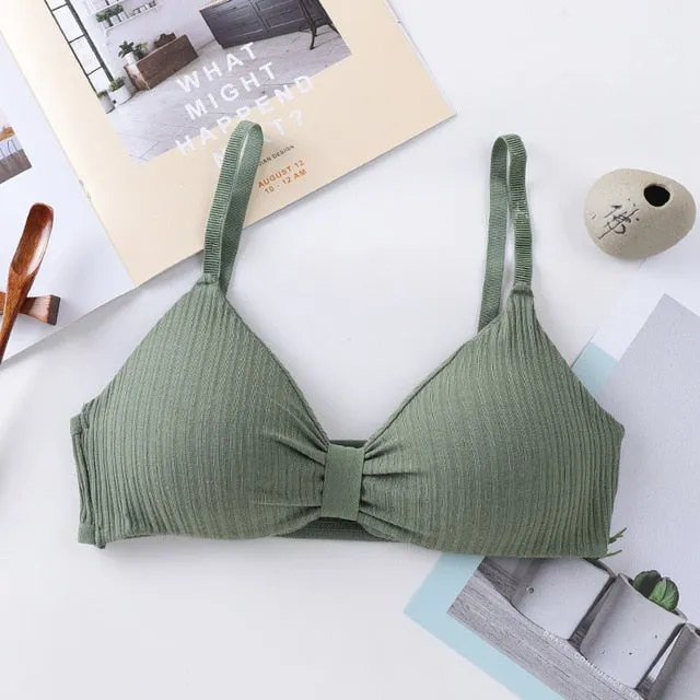 Sexy Bra Push Up Bras For Women Wireless Bralette Sexy Lingerie Seamless Women Underwear Soft Bra Comfort Cotton Brassiere