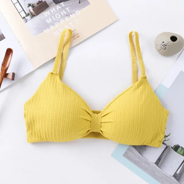 Sexy Bra Push Up Bras For Women Wireless Bralette Sexy Lingerie Seamless Women Underwear Soft Bra Comfort Cotton Brassiere